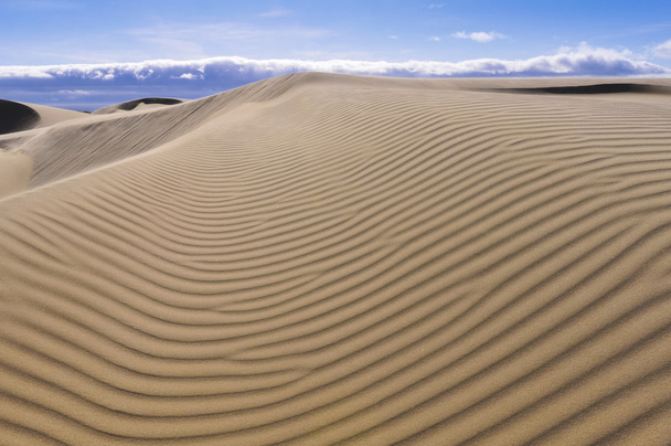 Oceano Dunes Natural Preserve, California (USA) - Photo, Image