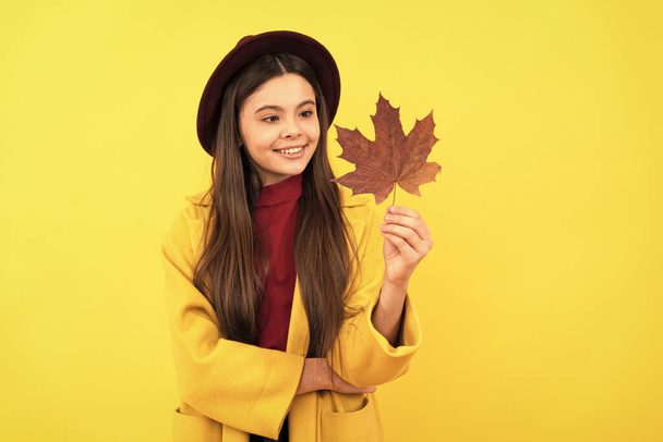 teen girl in hat hold autumn leaf. happy child look at maple leaf on yellow background. autumn nature. childhood happiness. natural beauty. fall season fashion. - Photo, Image