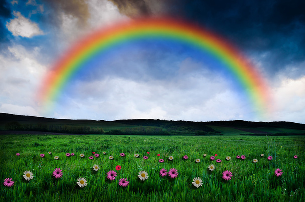Beautiful rainbow background - Photo, Image