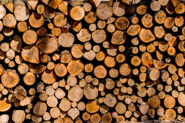 chopped logs for winter fire.. - Foto, Bild