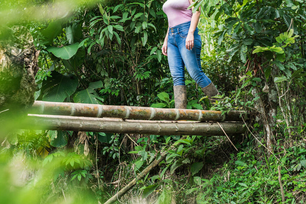 girl hiking. crossing a stream over a small bridge made of giant bamboo. walking through the beautiful colombian mountains looking for adventure. - Foto, afbeelding