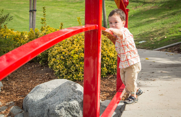 Jovem chinês e caucasiano menino se divertindo no parque. - Foto, Imagem