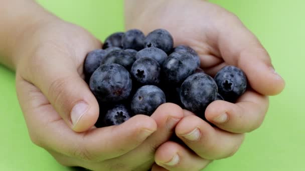 Big blueberries in the palms of 9 years old boy. Closeup. Sliding movement. - Filmagem, Vídeo