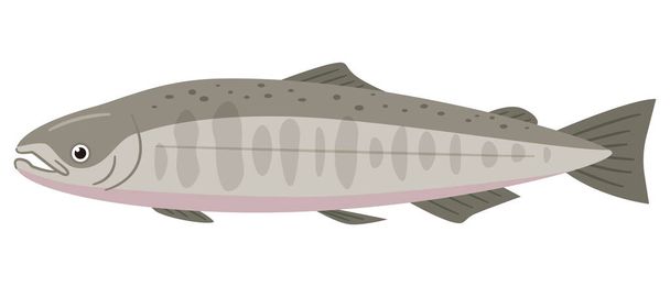 Vector illustration of a simple salmon - Vektör, Görsel