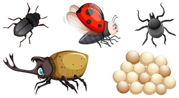 Különböző rovarvektorok illusztrációjának gyűjteménye - Vektor, kép