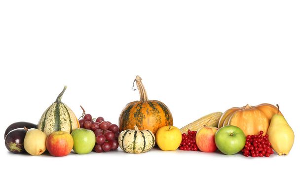 Świeże warzywa, owoce i owoce viburnum na białym tle. Festiwal zbiorów - Zdjęcie, obraz