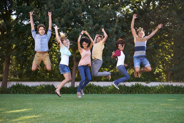 Birlikte aptalca davranıyoruz. Bir grup arkadaş bir parkta neşeyle zıplıyorlar. - Fotoğraf, Görsel