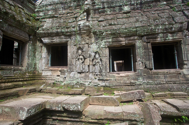 TA prohm руїни, Ангкор-Ват, Камбоджа - Фото, зображення