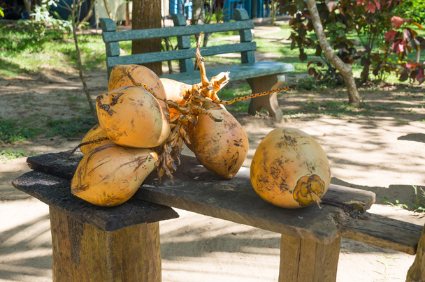King coconuts - Photo, Image