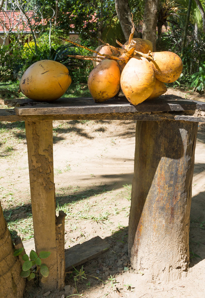 koning kokosnoten - Foto, afbeelding