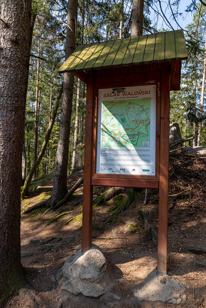 Szklarska Poreba Poland. May 8, 2022. Information sign on the trail for tourists. - Фото, изображение