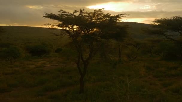 zachód słońca w Afryce - Materiał filmowy, wideo