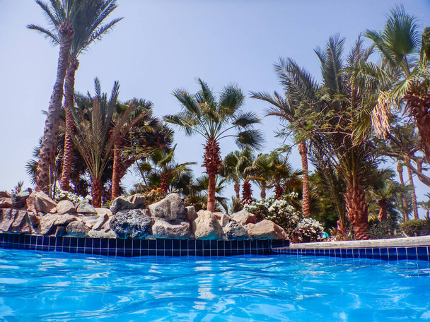 vista a las palmeras y piedras desde la cálida piscina de vacaciones - Foto, imagen