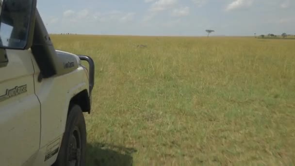 Jeep ajo läpi Afrikkalainen safari
 - Materiaali, video