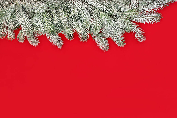 Karácsonyi téli fenyő és hóvörös háttér határ kompozíció. Minimális ünnepi természet design a hagyományos karácsonyi, napforduló, Szilveszter ünnep szezonban. - Fotó, kép