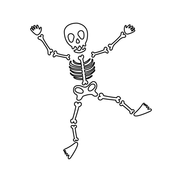 Esqueleto de baile de línea. Ilustración vectorial, elemento decorativo mágico de Halloween. Halloween delinear carácter esqueleto silueta. Carácter de hombre muerto divertido hecho de huesos, aislado sobre fondo blanco - Vector, imagen