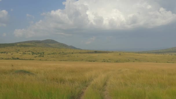 Polní cesta skrze africké safari - Záběry, video