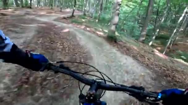 Ormanda bisiklet sürmeye devam et. - Video, Çekim