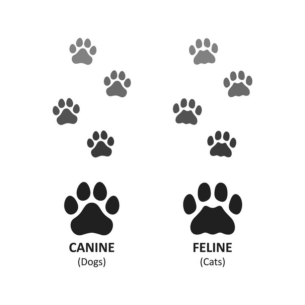 Vetor de rastreamento de pé animal do símbolo de impressão de pata de cães e gatos, isolado no fundo branco. - Vetor, Imagem