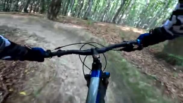 Ormanda bisiklet sürmeye devam et. - Video, Çekim
