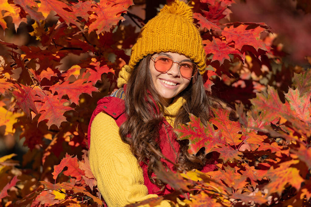 Niña sobre fondo otoño otoño, cara otoño niños. niño feliz en gafas de sol en las hojas de otoño sobre fondo natural. - Foto, Imagen