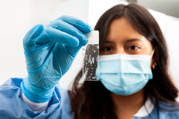 若い女性科学者は、実験室で脱水組織サンプルのスライドを見ています。パラフィンのキシレンベース除去. - 写真・画像