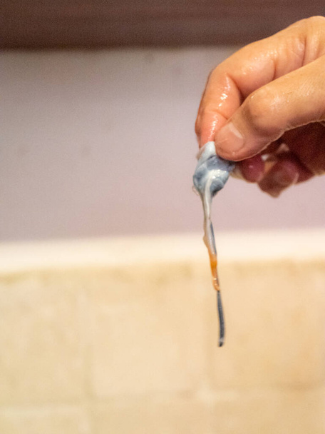 čištění syrové adriatické sépie doma v Numana, Marche, Itálie - Fotografie, Obrázek
