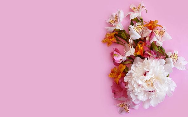 Peonia fiore su cornice di sfondo colorato - Foto, immagini