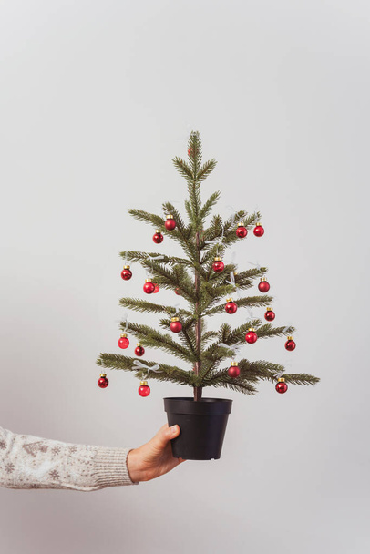 Neujahrsbäumchen in der Hand des Mädchens. Weihnachtsbaum mit rotem Spielzeug an einer weißen Wand. Hand mit Weihnachtsbaum an Lichtwand - Foto, Bild
