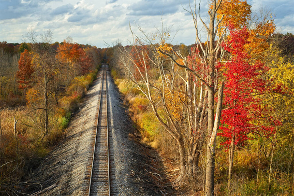 Kuzeydoğu Ohio 'daki düz bir demiryolu yakındaki ağaçlarda sonbahar renklerinden geçer. - Fotoğraf, Görsel