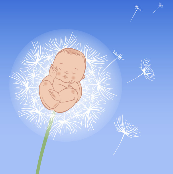 Векторный спящий новорожденный
 - Вектор,изображение