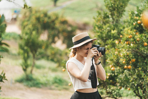 A woman in a straw hat is making pictures in an orange garden. High quality photo - Foto, Imagem