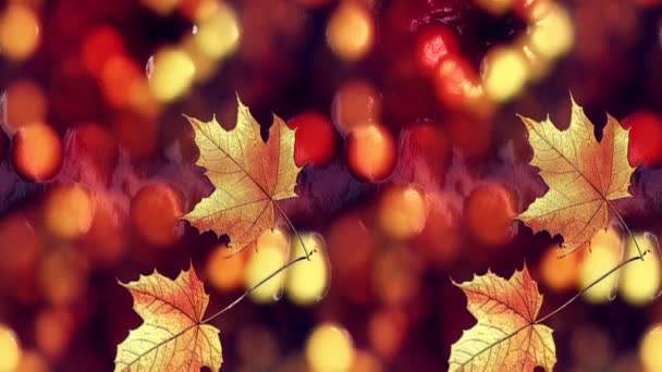 Abstrakter Hintergrund Herbst Blätter fallen braun Hintergrund Animation - Filmmaterial, Video