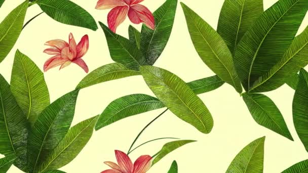 Τροπικά φύλλα, φύλλα μπανάνας, φυλλώματα ζούγκλα floral απρόσκοπτη looping animation φόντο. Vintage βοτανική εξωτική απόδοση ταπετσαρία - Πλάνα, βίντεο