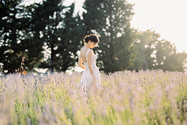 白いドレスを着た花嫁が頭を下げてラベンダー畑に立っています。サイドビュー。高品質の写真 - 写真・画像