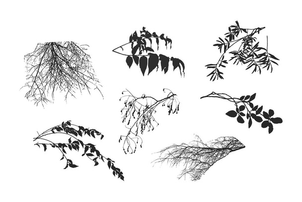 Welkende Herbstnatur. Eine Reihe realistischer Zweige, eine Silhouette nackter trockener Zweige. - Vektor, Bild