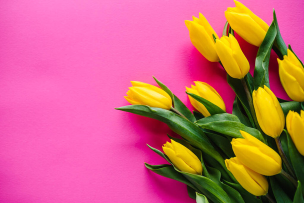 Sárga tulipán rózsaszín pasztell háttérrel. Helyet az üzenetnek. Virágok tavaszi koncepció. Ünnepi üdvözlőlap Valentin-napra, nőnapra, anyák napjára, húsvétra. Születésnap. Helyet az sms-nek. Felülnézet, lapos fektetés. - Fotó, kép