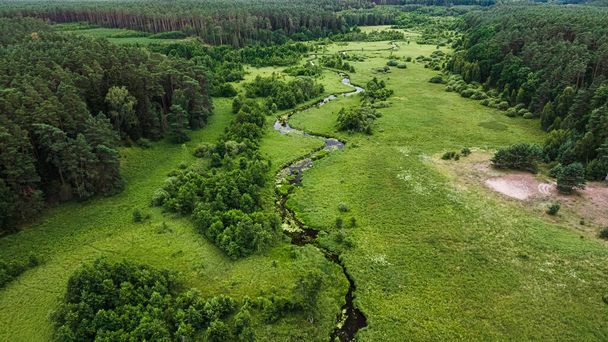 Aerial view of river, swamps and forest. Nature in Poland - Fotoğraf, Görsel