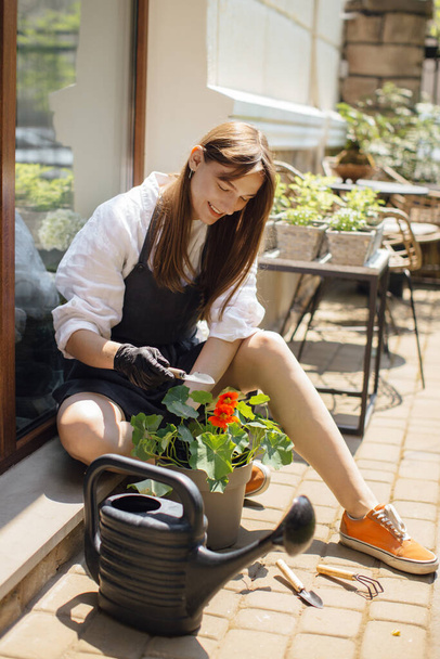 Kobieta ogrodnik przeszczepia kwiaty do puli Zdjęcie. - Zdjęcie, obraz