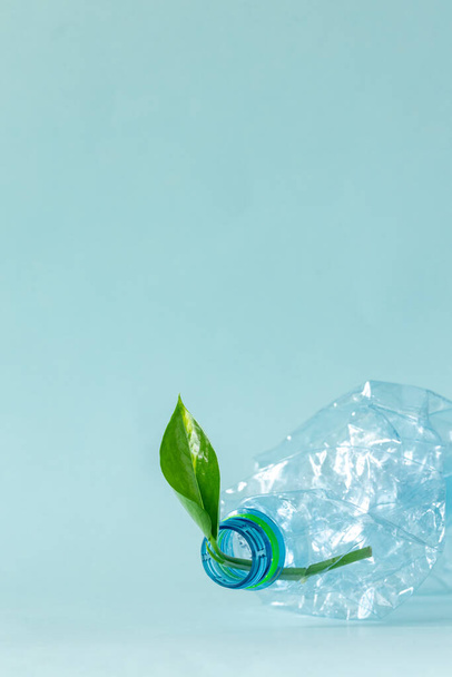 Bottiglia di plastica schiacciata con giovane foglia verde sporgente, concetto ambientale, sfondo blu pastello, spazio per un'iscrizione - Foto, immagini