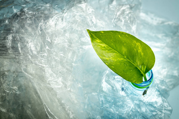 műanyag fólia és egy üveg egy kiálló fiatal zöld levél, Környezeti koncepció, Műanyag csökkentése a föld javára - Fotó, kép