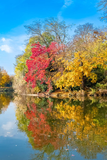 The Vincennes lake, with reflection of the trees in autumn - Foto, Imagem
