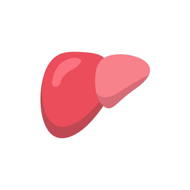 Liver icon design vector, human body internal organs - Vector, Image