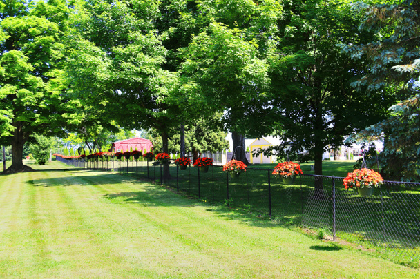un jardín de vivero patio trasero floreciendo macetas rojas cerca de macetas  - Foto, imagen