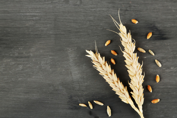 Spikelets of wheat on dark - Fotó, kép