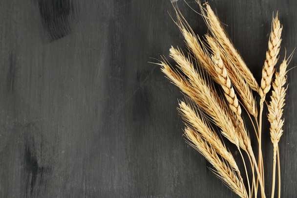 Spikelets of wheat on dark - Φωτογραφία, εικόνα