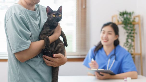 ペットケアの概念は、女性の獣医は、健康猫を検討した後、クリップボードに処方を書いている. - 写真・画像