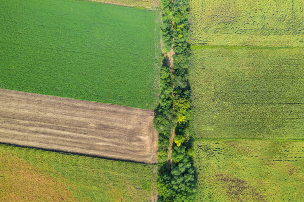 Widok z lotu ptaka na pola rolne. Górny widok z powietrza zdjęcie z latającego drona ziemi z zasianych zielonych pól na wsi w wiosenny dzień. Krajobraz rolniczy z uprawianymi roślinami - Zdjęcie, obraz