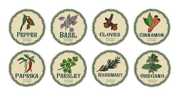 Vector set of spices food labels with herbs sketches: pepper, basil, paprika, oregano, rosemary and parsley. Packaging and labeling template. Organic, natural flavor, eco friendly, kitchen herbs. Colorful hand drawn illustrations. - Vector, Image