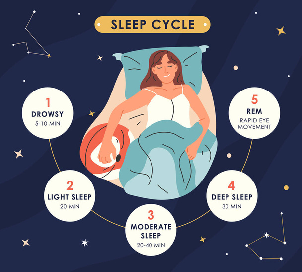 Ciclos de sueño infografía, etapas de descanso nocturno, fases de sueño saludable. Mujer joven sueño y despertar etapas vector concepto ilustración. Etapas de sueño humano y descanso nocturno - Vector, imagen